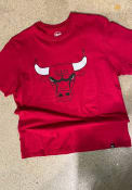 Chicago Bulls 47 Imprint Super Rival T Shirt - Red