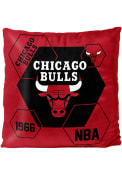 Chicago Bulls Velvet Reverse Pillow