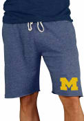 Michigan Wolverines Mainstream Shorts - Navy Blue