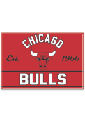 Chicago Bulls 2x3 Magnet