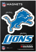 Detroit Lions 5x7 Car Magnet - Blue