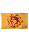 Cleveland Cavaliers 1970 Hardwoods Gold Silk Screen Grommet Flag