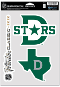 Dallas Stars 2020 Winter Classic Auto Decal - Green