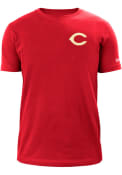 Cincinnati Reds New Era Tonal 2 Tone T Shirt - Red
