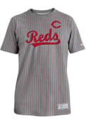 Cincinnati Reds New Era PINSTRIPE RINGER Fashion T Shirt - Grey