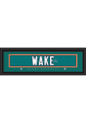 Cameron Wake Miami Dolphins 8x24 Signature Framed Posters