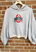 Ohio State Buckeyes Womens Delilah Hooded Sweatshirt - Grey