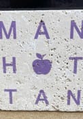 Manhattan Apple Coaster