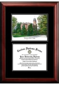 Colorado Buffaloes Diplomate and Campus Lithograph Picture Frame