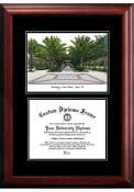 South Florida Bulls Diplomate and Campus Lithograph Picture Frame