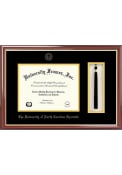UNCC 49ers Tassel Box Diploma Picture Frame