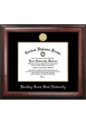 Bowling Green Falcons Gold Embossed Diploma Frame Picture Frame