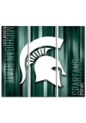 Michigan State Spartans 3 Piece Rush Canvas Wall Art