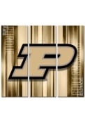 Purdue Boilermakers 3 Piece Rush Canvas Wall Art