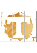 Tennessee Volunteers 3 Piece Watercolor Canvas Wall Art